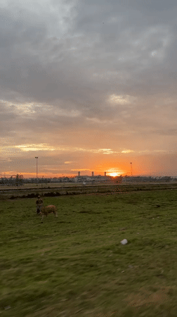 Orange sunset over a grassy field in Glokaron, Indonesia