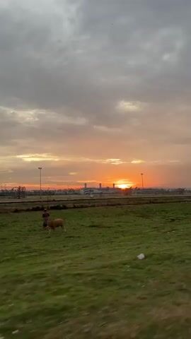 A landscape video shows a sunset with a prominent orange sun partially obscured by clouds. The foreground is a grassy field with some litter visible. In the middle ground, there is a flat area with a few poles and some structures that appear to be industrial or part of a facility. The sky is filled with a mix of grey and orange clouds, with the sun casting a warm glow. The video appears to be shot from a moving vehicle, as indicated by the slight blur and motion effect.