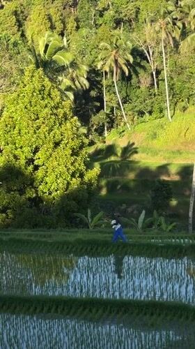 Sawan, Indonesia