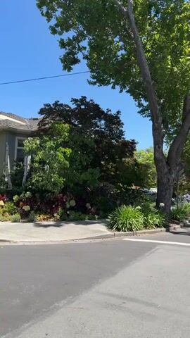 The video shows a view from a moving vehicle traveling down a residential street on a sunny day. The street is lined with mature trees and houses. The camera pans across several houses, some of which appear to be large and well-maintained, with manicured landscaping. In front of some of the houses, there are flower beds with purple flowers. A few cars are visible, including a gray sedan parked on the side of the road. The sky is clear and blue.