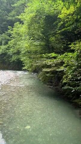 The video shows a view from a wooden bridge looking out over a lush, green gorge. On the bridge, a person is seen from the chest down, with their arms visible and wearing dark bracelets. They are holding a phone and appear to be filming. To the left of the bridge, a clear, turquoise river flows. The riverbanks are lined with rocks and dense green foliage. Further into the gorge, more people are visible on a wooden walkway winding through the trees, with one person in a red shirt and blue shorts, and two children in light-colored clothing. Another person in a white shirt and red shorts is seen climbing a rocky embankment on the right side of the gorge. The overall environment is a natural, wooded area with a river running through it.