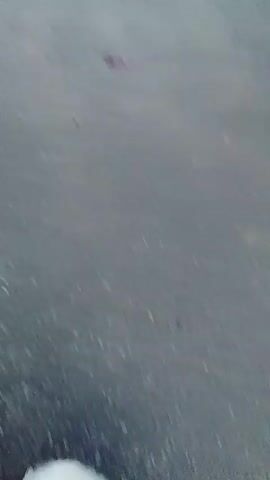 A blurry video shows a small, fluffy white dog with some tan markings walking across a gray, textured surface. The dog is walking away from the camera, and its tail is held high. The surface appears to be outdoors, possibly asphalt or concrete, with some small, dark specks visible. There are no other people or animals visible in the frame.