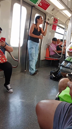 Woman stands by door on Santiago area subway train