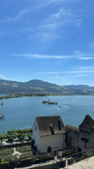 Scenic Lake Zurich steamboat activity captured in Rapperswil-Jona