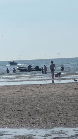 The video shows a beach scene with people swimming in the ocean and relaxing on the sand. There are two inflatable boats in the water with people in and around them. In the background, there are several wind turbines visible on the horizon. A seagull is standing on the sand in the foreground. The sky is clear and blue, indicating a sunny day. The tide appears to be out, exposing wet sand near the shoreline.