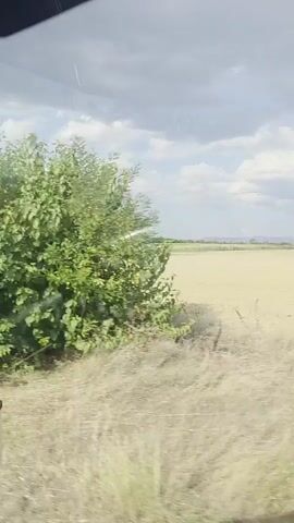 The video shows a view from inside a vehicle, likely a truck, as it travels through a rural landscape. The camera is positioned to capture the view through the side window and partially the side mirror. The environment consists of green vegetation, fields of dry grass or crops, and a cloudy sky. The motion blur indicates the vehicle is in transit. The scene appears to be agricultural or rural. There are no people or other vehicles clearly visible. The overall impression is one of traveling through the countryside on a somewhat overcast day.
