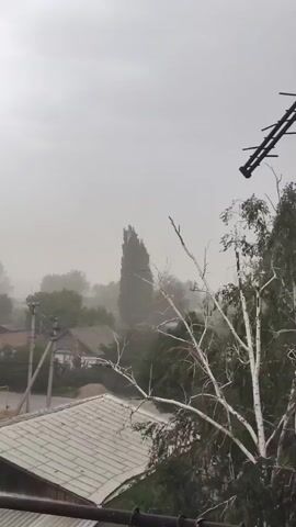 The video shows an outdoor scene on a cloudy day with poor visibility. In the foreground, a portion of a metal fence or railing is visible. Beyond that, the roof of a building with a corrugated metal surface is seen. Further in the background, there are trees, some of which appear to be swaying. There are also some structures that look like houses with roofs. A tall, slender tree and a leafless tree with white bark are also prominent. A television antenna is visible in the upper right corner. The overall impression is of a hazy or dusty environment, possibly due to wind or poor air quality.
