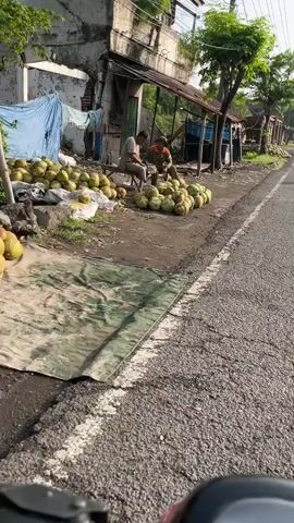 The video shows an outdoor scene next to a paved road. Two men are present. One man is seated on a low wooden structure, and the other is seated on the ground. Both men appear to be preparing coconuts. A large pile of coconuts is visible on the ground in front of them, and several more coconuts are stacked to their left. Behind the men, there is a dilapidated building with a corrugated metal roof and a green door. To the right of the building, there is a tree and a blue tarp. The ground is mostly dirt and gravel. The road appears to be a two-lane road. The overall impression is that of a roadside vendor selling coconuts.