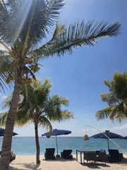 Indonesian beach resort captured in morning documentation session
