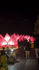 Pink lotus lantern display draws nighttime visitors in Da Lat