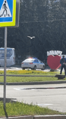 Municipal scenes: police patrol, park maintenance, fountain display