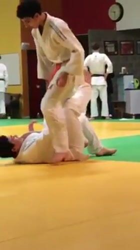 Judo training session with group photo in Saverne gymnasium