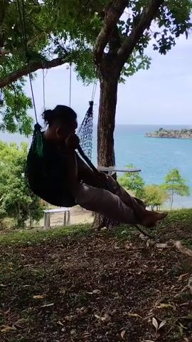 A man is sitting in a hammock, hung from a large tree with many branches, on what looks like a hillside or elevated area. He is wearing a dark colored shirt and light colored pants. His hair is up in a ponytail. He is holding something to his face and seems to be looking down. Behind the tree and to the right of the man is a view of a body of water with a small, rocky island in the distance. There are other trees and foliage nearby. The ground around the tree is covered with leaves and other natural debris. There is another hammock-like structure hanging from the tree next to the man. The overall impression is that he is relaxing and enjoying the view. The sky is bright and the water looks blue and clear.