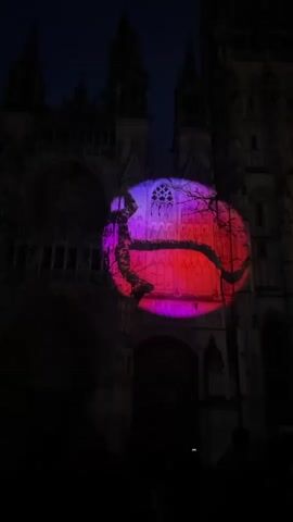 A nighttime, eye-level, full shot shows a dark building, likely a cathedral, lit up with projected colored lights. The projection forms a large circle, split into red on the right and blue on the left, with purple in the middle. The circular projection covers the center portion of the building's facade, revealing intricate architectural details like arched windows and carvings. A bare tree with winding branches is positioned in front of the building, partially obscuring the light projection. The branches of the tree are illuminated by the changing colors. The top of the building features two prominent towers, silhouetted against the dark sky. In the foreground, at the bottom of the frame, several dark silhouettes of people are visible, suggesting they are observing the light display. The overall scene is dark with the exception of the colorful light projection on the building and the tree.