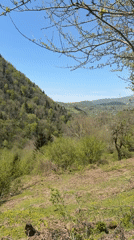 Spring morning nature walk documented in Vakhani, Georgia