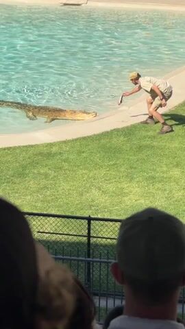 A man in khaki clothing and a hat is feeding a crocodile in a pool of water. The man is holding a piece of food on a stick towards the crocodile, which is partially submerged in the water and facing the man. The crocodile appears to be a light brown or tan color. The pool has a concrete edge and is surrounded by a grassy area. In the foreground, the backs of two people wearing hats are visible, watching the scene. A black fence separates the viewing area from the grassy area. The overall lighting suggests a sunny day.