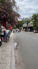 Morning street life documented in historic Hội An Ward
