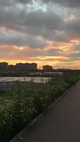 The video pans across a sunset sky with dramatic clouds tinged with orange and pink. In the foreground, a paved pathway runs alongside a grassy area dotted with white wildflowers. To the left, there are construction materials and buildings, some appearing to be under construction or recently completed. The scene suggests a suburban or developing area at dusk, with a sense of quiet and transition. The sky dominates the upper portion of the frame, with the landscape occupying the lower half. There are no people visible in the video.
