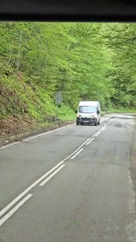 A white cargo van drives towards the camera and then passes it on a cracked asphalt road that winds through a dense, lush green forest. Double white lines mark the center of the road at the beginning of the clip. Metal guardrails line both sides of the road as it curves, and a red circular prohibitory sign along with a red triangular warning sign are visible on the right side. The trees are covered in vibrant green foliage.