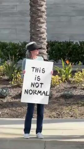 Several people are standing on a sidewalk near a palm tree, holding signs in protest. One sign says "This is not normal".  Another sign has a colorful poster of George Orwell and the quote "In a time of deceit, telling the truth is a revolutionary act."  Another protestor in a car holds up a sign that reads "Stop Excitations".  Two men are holding up signs, one reads "Abolish ICE" and the other is not visible, as they are standing and conversing. The surrounding environment includes bushes, a building, and a curb. The people appear to be protesting or expressing their views on a particular issue.