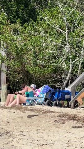 At 00:00, two people are lying on beach chairs on a sandy beach. One person is wearing a green bikini, and the other is wearing a white hat and a blue and white patterned swimsuit. Several beach bags and a blue beach wagon are situated behind the chairs. Green trees and bushes are visible in the background, along with a wooden staircase. A dog is visible at the bottom of the stairs.

At 00:01, a person in a light blue hat and a patterned swimsuit is visible on the wooden staircase, appearing to pet the dog.

At 00:02, the person on the staircase, holding a yellow bag, begins to ascend the stairs. The dog is still at the bottom.

At 00:03, the person continues to climb the stairs, holding the yellow bag. The dog is still at the bottom.

At 00:04, the person reaches the top of the stairs, holding the yellow bag, and is about to exit the frame. The dog remains at the bottom of the stairs.
