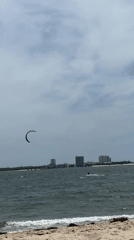 Kitesurfing and community library spotted in Setúbal coastal area
