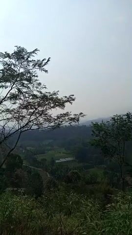 The video shows a panoramic view of a mountainous landscape under a hazy sky. The foreground is dominated by lush green foliage, with trees and bushes partially obscuring the view. In the midground, rolling hills covered in dense vegetation are visible, with some areas showing signs of cultivation, such as terraced fields. A few small structures, possibly houses or farm buildings, are scattered across the landscape. The background features a series of undulating hills and mountains that fade into a light mist or haze, creating a sense of depth and distance. The overall impression is of a rural, natural environment. There are no people or animals visible in the video. The camera appears to be panning slowly across the scene, offering a sweeping view of the terrain.