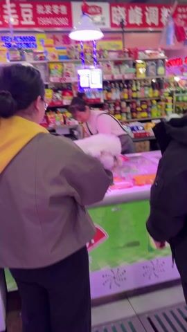 Here is a concise description of the video.
The video shows a brightly lit indoor market, possibly a grocery or specialty food store in China.  There are numerous shelves stocked with food items. In the foreground, several customers are visible. Two women are carrying small, fluffy dogs, one white and one gray poodle, as they appear to make purchases. A cashier wearing an apron is serving customers at a counter filled with refrigerated items.