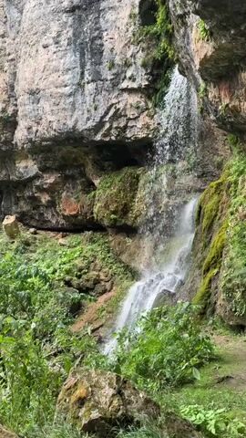 A narrow waterfall cascades down a rocky cliff face. Lush green vegetation covers the lower portion of the cliff and the ground. The rock face is textured and appears wet, with moss growing in patches. The water creates a misty spray as it falls, and the overall scene suggests a natural, secluded environment.