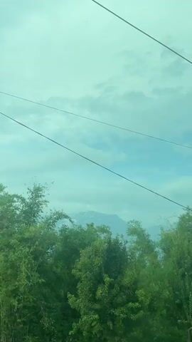 The video shows a view from a moving vehicle, likely a car or train, looking out at a landscape.  The sky is light blue with some clouds. There are several trees and bushes with lush green foliage in the foreground.  Electrical wires are visible stretching across the top of the frame. In the distance, a mountain range is partially visible, obscured by the trees. The camera movement is consistent with the motion of a vehicle.