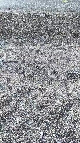 The video begins with a close-up of a gray, pebbled beach, followed by a pan upwards to reveal calm water and mountains in the background. The water reflects the sky and the mountains, creating a smooth, mirrored surface.  There are no people or animals visible in the video.