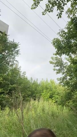 This video captures a natural scene under an overcast sky, likely in the afternoon. The foreground is dominated by lush, tall green grass and scattered dry branches, suggesting a wild or uncultivated area. In the middle ground, a dense line of green trees forms a backdrop, their leaves appearing vibrant despite the cloudy weather.

The most striking element is a faint rainbow arcing across the sky, positioned just above the treeline. The rainbow is subtle, hinting at recent or ongoing rain, but the overall impression of the sky is grey and diffused light.

Framing the scene are branches and leaves from trees on the left and right sides of the video, obscuring parts of the sky and adding a sense of depth. On the far left, a portion of a light-colored building or structure is visible, its angular form contrasting with the organic shapes of nature. Power lines are strung across the upper portion of the frame, a man-made element intersecting the natural landscape.

The video appears to be filmed from a low angle, with the head of a person visible in the bottom right corner, suggesting they are either holding the camera or observing the scene. The overall mood is serene and contemplative, focusing on the subtle beauty of a natural phenomenon appearing amidst a somewhat urbanized fringe, with the hint of a rainbow offering a touch of wonder. The location context, Жібек Жолы, Kazakhstan, provides a geographical anchor for this tranquil observation. No discernible text is present in the video.