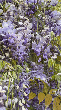 Spring afternoon scenes documented in Igalo, Montenegro coastal town