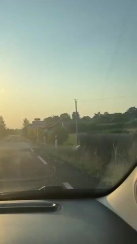 A POV shot from inside a car driving on a road at sunrise. The sun is low on the horizon, casting a warm, hazy glow over the scene. The road is paved and appears wet, with white lane markings visible. On the right side of the road, there is a row of decorative trees and a white post with red markings. A sign for "BAGNOLET" is visible on the left side of the road. Further down the road, houses and trees line the landscape. The sky is clear and light blue.