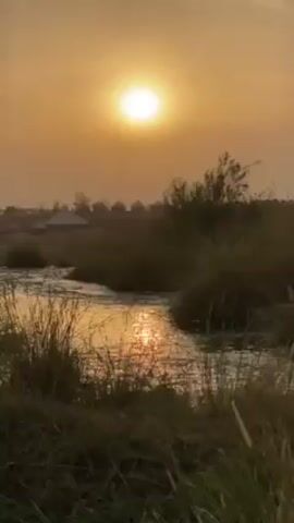 The video shows a landscape scene with a stream in the foreground and a sunset in the background. The sun is a bright, circular object in the sky, casting a golden light over the scene. The stream is flowing gently, and its surface reflects the sunlight. Tall grasses and some bushes grow along the banks of the stream. In the background, there are a few buildings that resemble huts or tents. The sky has a hazy, orange hue, indicating either sunrise or sunset. There are no people visible in the video.