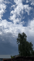 Sphinx cat sleeps indoors as dramatic clouds gather outside