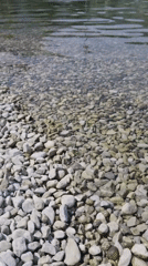 Sunny summer morning at a clear alpine lake in Landl