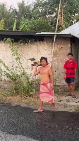The video shows two young males outdoors in what appears to be a rural setting. The male in the foreground, shirtless and wearing a patterned wrap around his waist, is holding a live chicken in his right arm, with its legs dangling. He appears to be interacting with the chicken. The other male, wearing a red t-shirt and dark shorts, stands to the right and observes the scene. The background includes tropical vegetation, a simple building with a corrugated metal roof, and a woven wall. The ground is dark and appears to be asphalt or a similar surface. The lighting suggests it is either early morning or late afternoon.