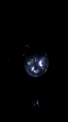 Nighttime art exhibition combines illuminated gardens with indoor gallery