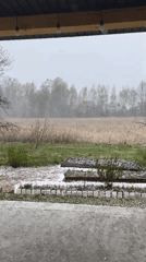 Hailstorm blankets Belarusian village yards and forest roads