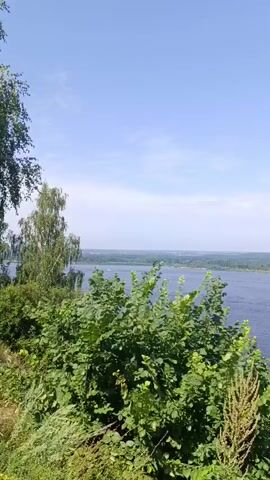 The video shows a wide river with a clear blue sky above. Dense green foliage is in the foreground, with trees visible on the right side of the frame. The river extends into the distance, with a distant treeline and some hazy structures on the far bank. The scene appears to be a natural landscape on a sunny day.