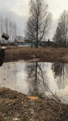 Mother and toddler share quiet domestic moments, cooking and gardening