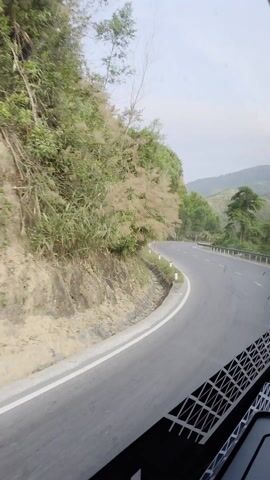 The view from the front passenger side of a vehicle moving along a curved road is shown. The road is black asphalt with white lane markings and bordered by white-and-red safety posts. A steep, overgrown hillside rises to the left of the road, densely covered with trees and vegetation, some of which appear to be flowering. The day is overcast, casting soft light over the scene. The dashboard of the vehicle is visible in the lower right corner of the frame.