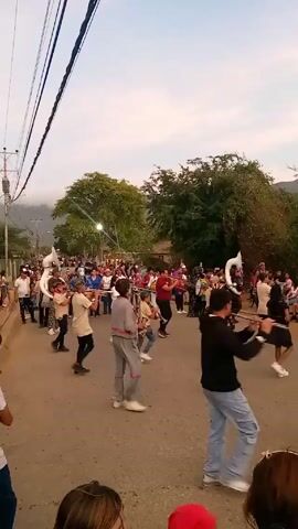 The video depicts a street parade. The primary focus is on a marching band moving along a paved road, with musicians playing various instruments including flutes, saxophones, and tubas. A clown is seen walking with the band. Spectators line the sides of the road, observing the parade. In the background, there are houses, trees, and overhead power lines. The sky is visible, indicating the event is taking place during daylight hours. Later in the video, a dance troupe is seen performing in front of a small building. The dancers are wearing various colorful outfits.