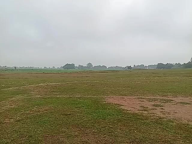 A wide shot shows a grassy field under a cloudy sky. Several trees are visible in the distance, and some patches of dry, brown earth are scattered throughout the field. The camera appears to be moving slowly, panning across the landscape. The overall impression is one of a rural or natural setting on an overcast day.