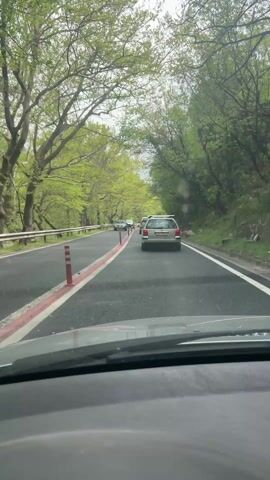 The view from inside a moving vehicle shows a two-lane road winding through a lush, green forest. The road has a prominent center line painted with red stripes and dotted with orange bollards. Several cars are visible ahead in the same lane. The road is bounded on one side by a metal guardrail and on the other by a natural slope covered with trees and vegetation. The sky is overcast, giving the scene a muted, natural light. The focus remains on the road ahead, with the windshield and dashboard partially visible in the foreground.
