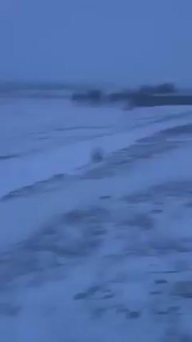 The video shows a snowy landscape under a blue, overcast sky. The ground is covered in snow with patches of dark vegetation visible. There is a small, blurry structure in the distance. The camera moves, creating a blurred effect.