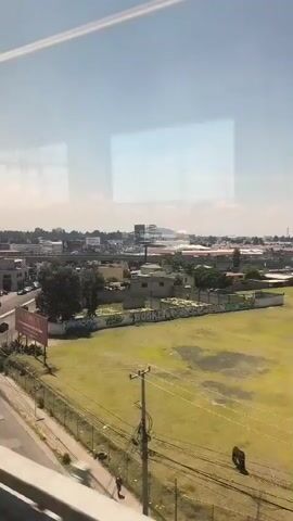 The camera peers through a window, revealing a sunny urban landscape. A multi-lane road cuts through the scene, hosting a light flow of vehicle traffic. Buildings of varying sizes dot the view, many with flat roofs. A large billboard advertises "ACROPOLIS", a departmental store in Toluca. Adjacent to the road, a grass-covered field bordered by a chain-link fence is visible. In the distance, a hill or mountain range is partially visible through a slight haze. The sky is clear and blue. The window's reflective surface mirrors the surrounding environment.