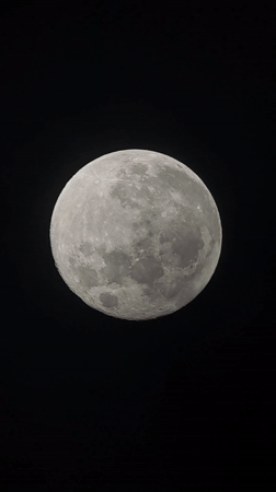 Microscopic organisms observed under magnification in Portuguese laboratory