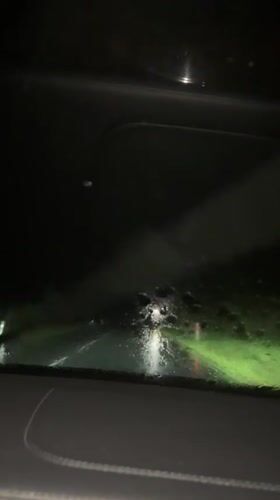 Night driving captured on rainy road in Cheshnegirovo